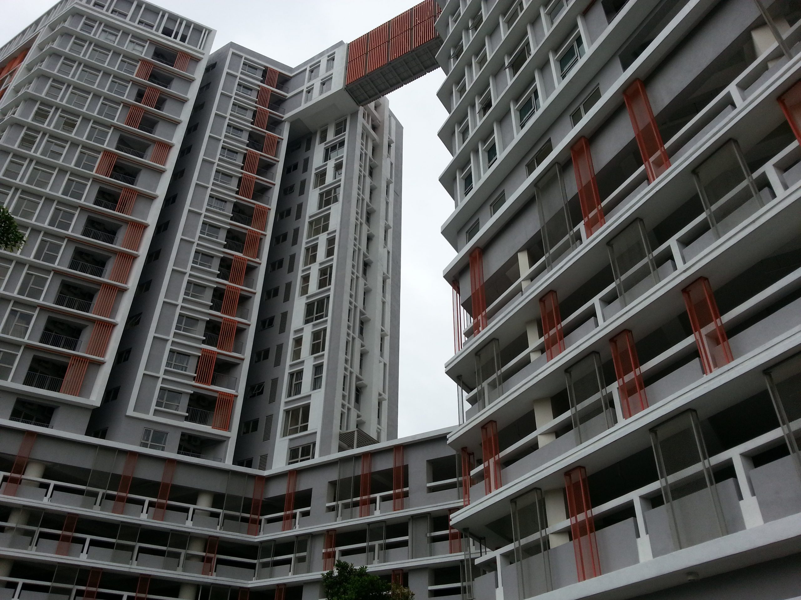 Suria Jelutong