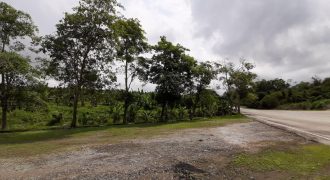 Agricultural Land Jimah Baru
